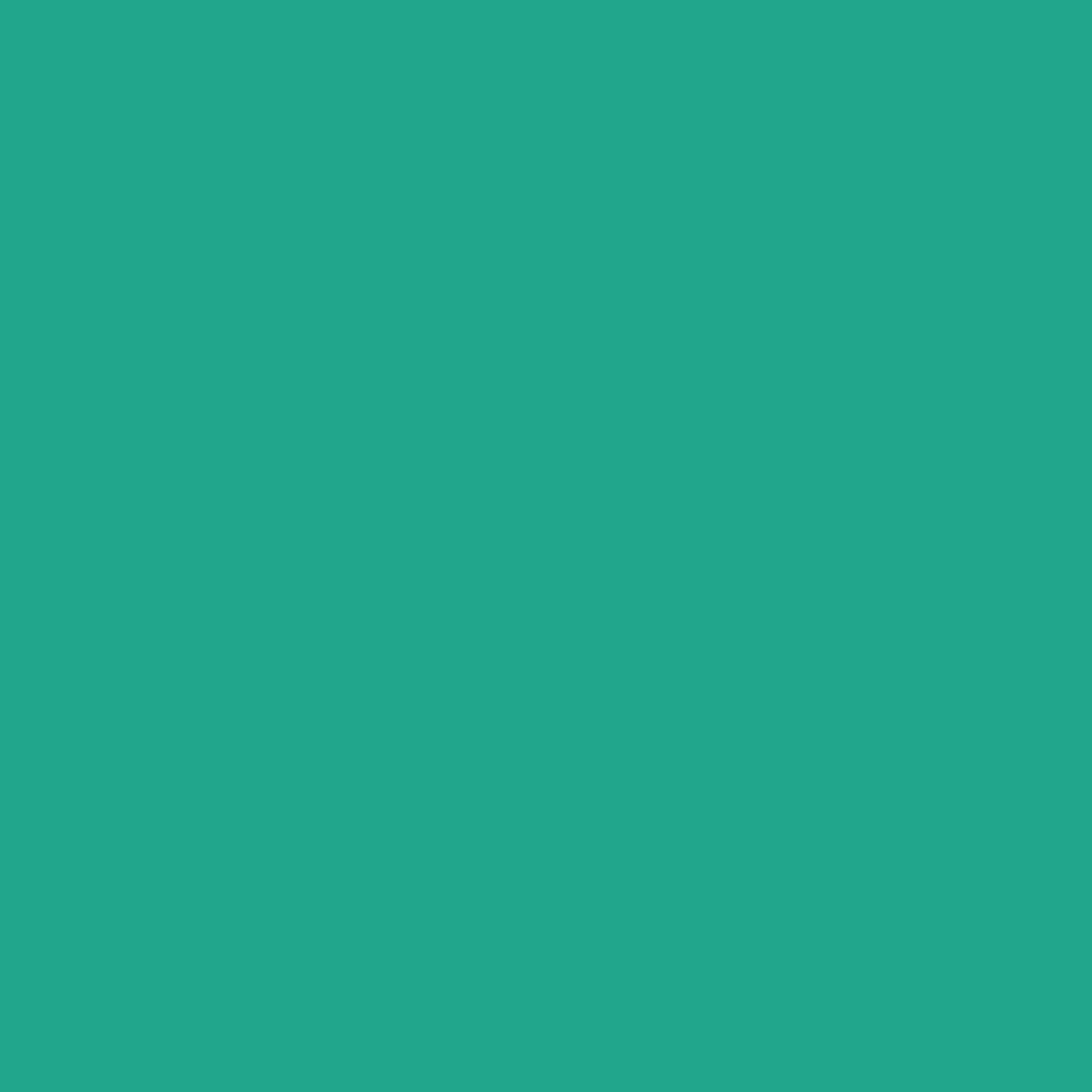Benjamin Moore Albuquerque Teal 607 paint color swatch