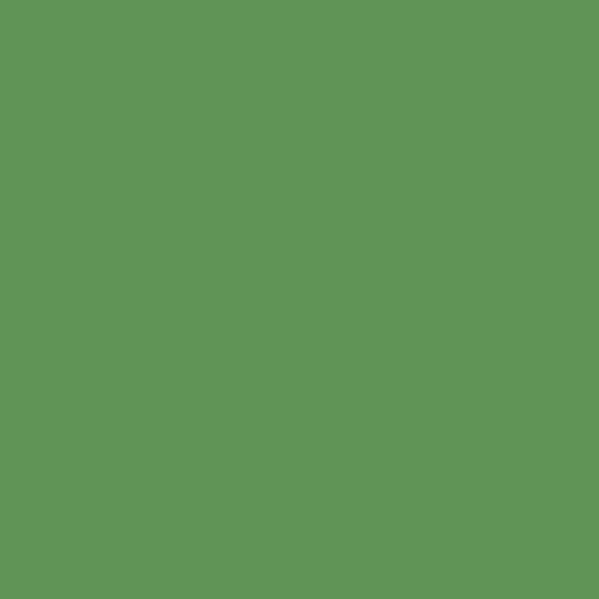 Benjamin Moore Richmond Green 553 paint color swatch