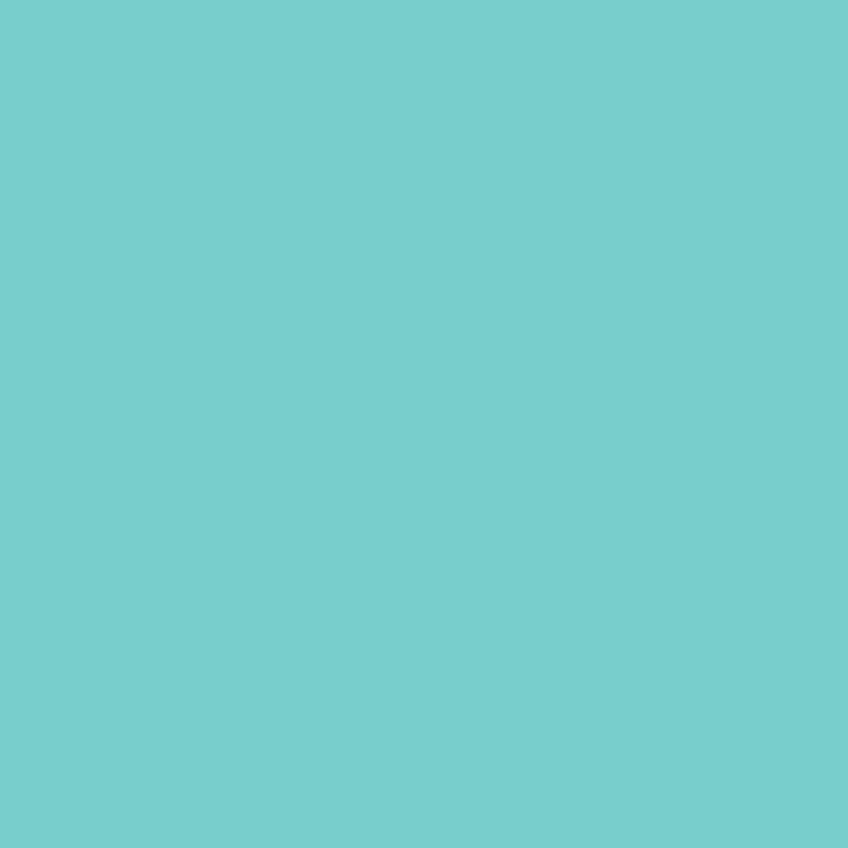 Benjamin Moore Mexicali Turquoise 662 paint color swatch