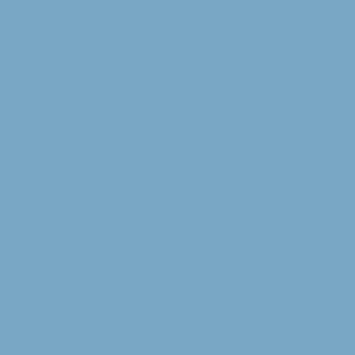 Benjamin Moore San Francisco Bay 802 paint color swatch