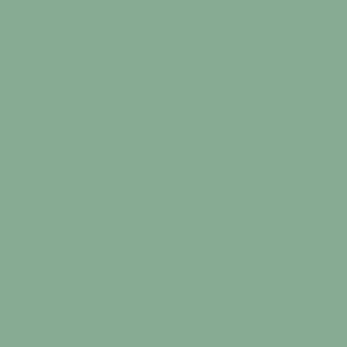 Benjamin Moore Southfield Green HC-129 paint color swatch