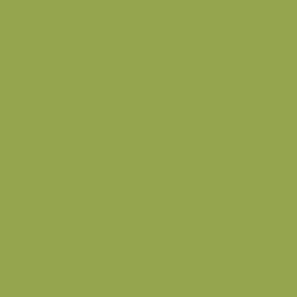 Benjamin Moore Huntington Green 406 paint color swatch