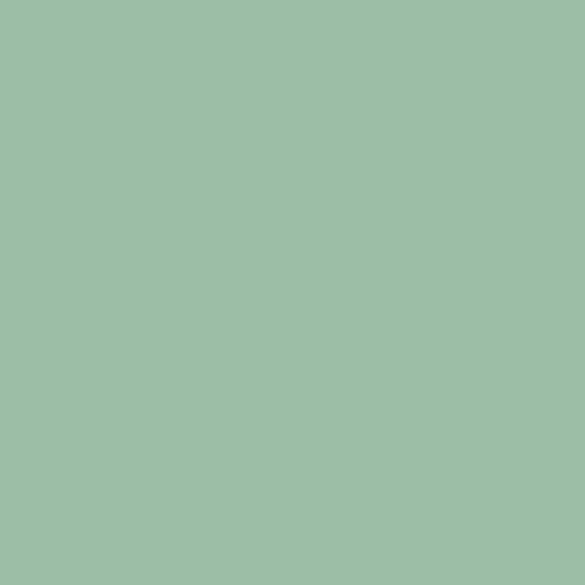 Benjamin Moore Spring Break 627 paint color swatch