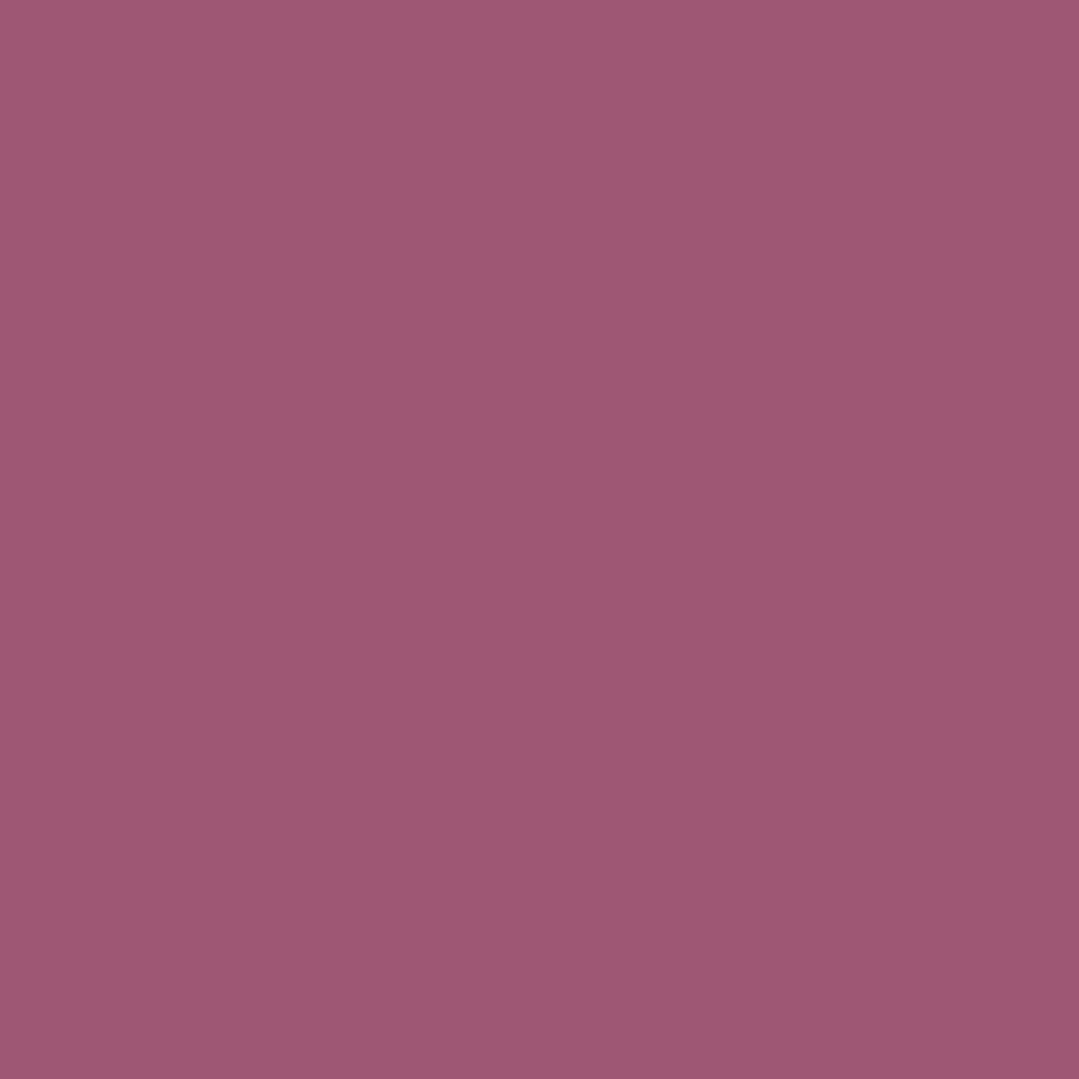 Benjamin Moore Fashion Rose 1356 paint color swatch