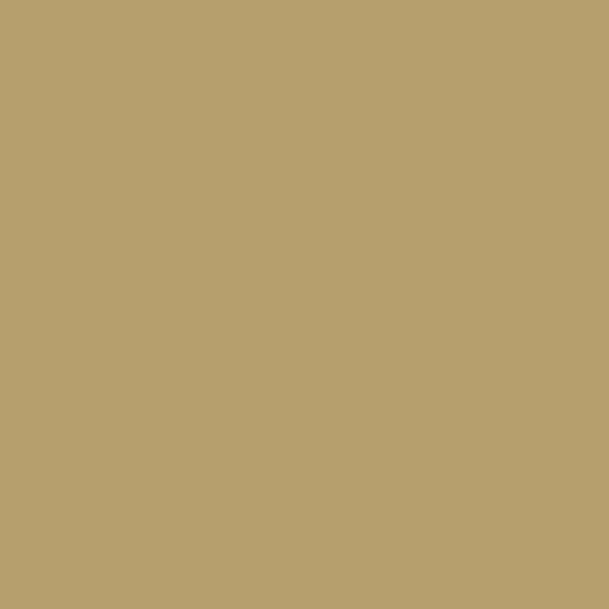 Benjamin Moore Scrivener Gold CW-430 paint color swatch