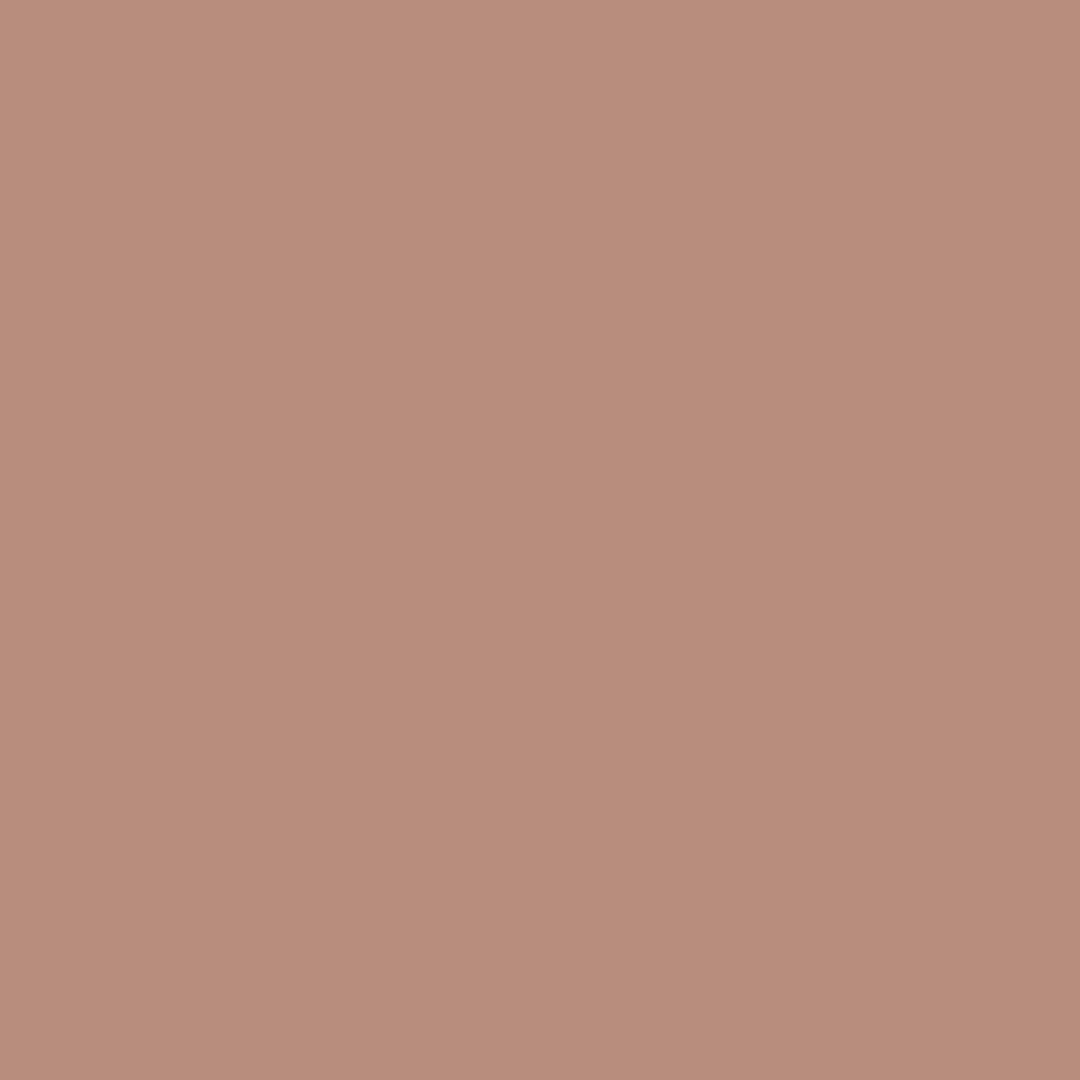 Benjamin Moore Foxy Brown 1181 paint color swatch