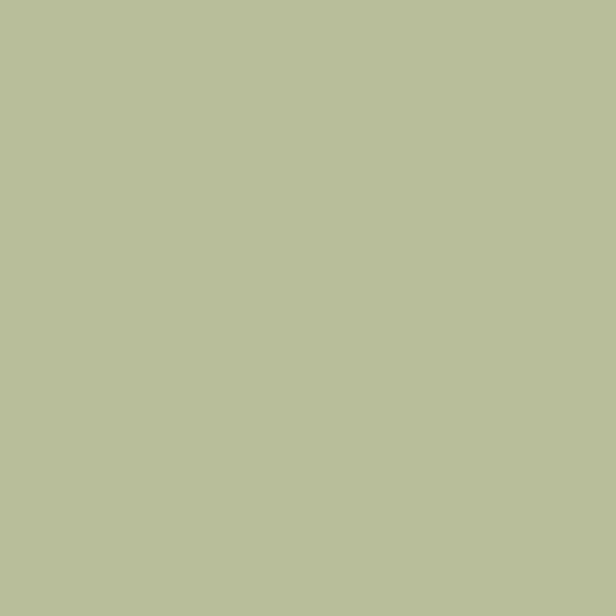 Benjamin Moore Burgess Green CW-485 paint color swatch