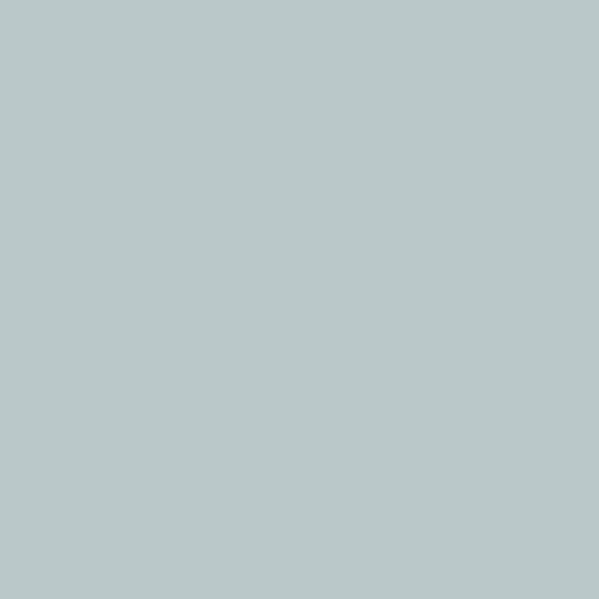 Benjamin Moore Smoke 2122-40 paint color swatch