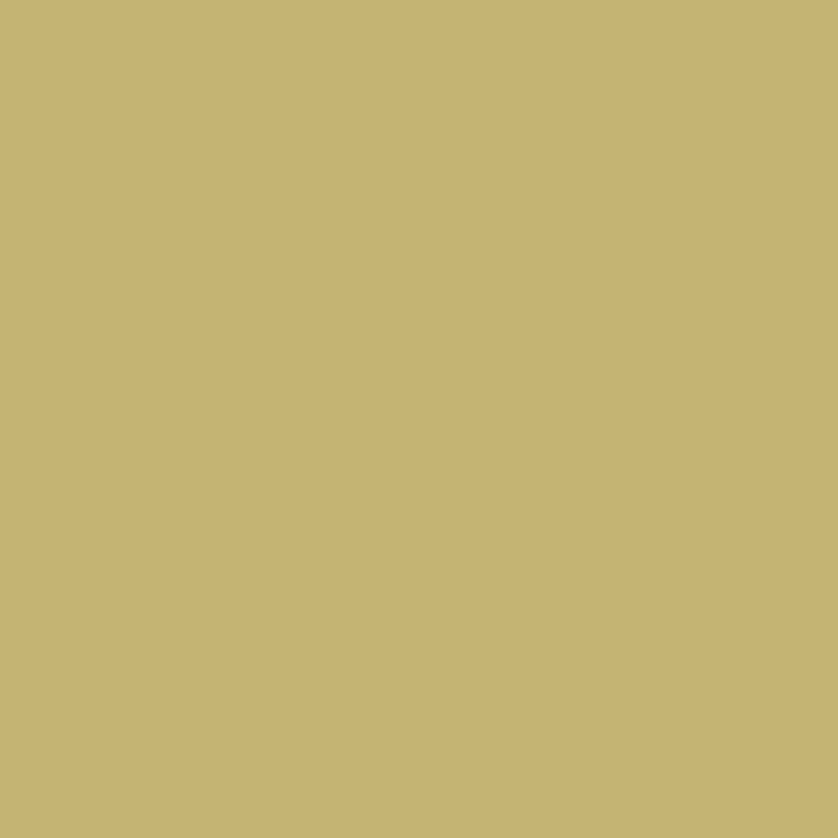 Benjamin Moore Meadow View 383 paint color swatch