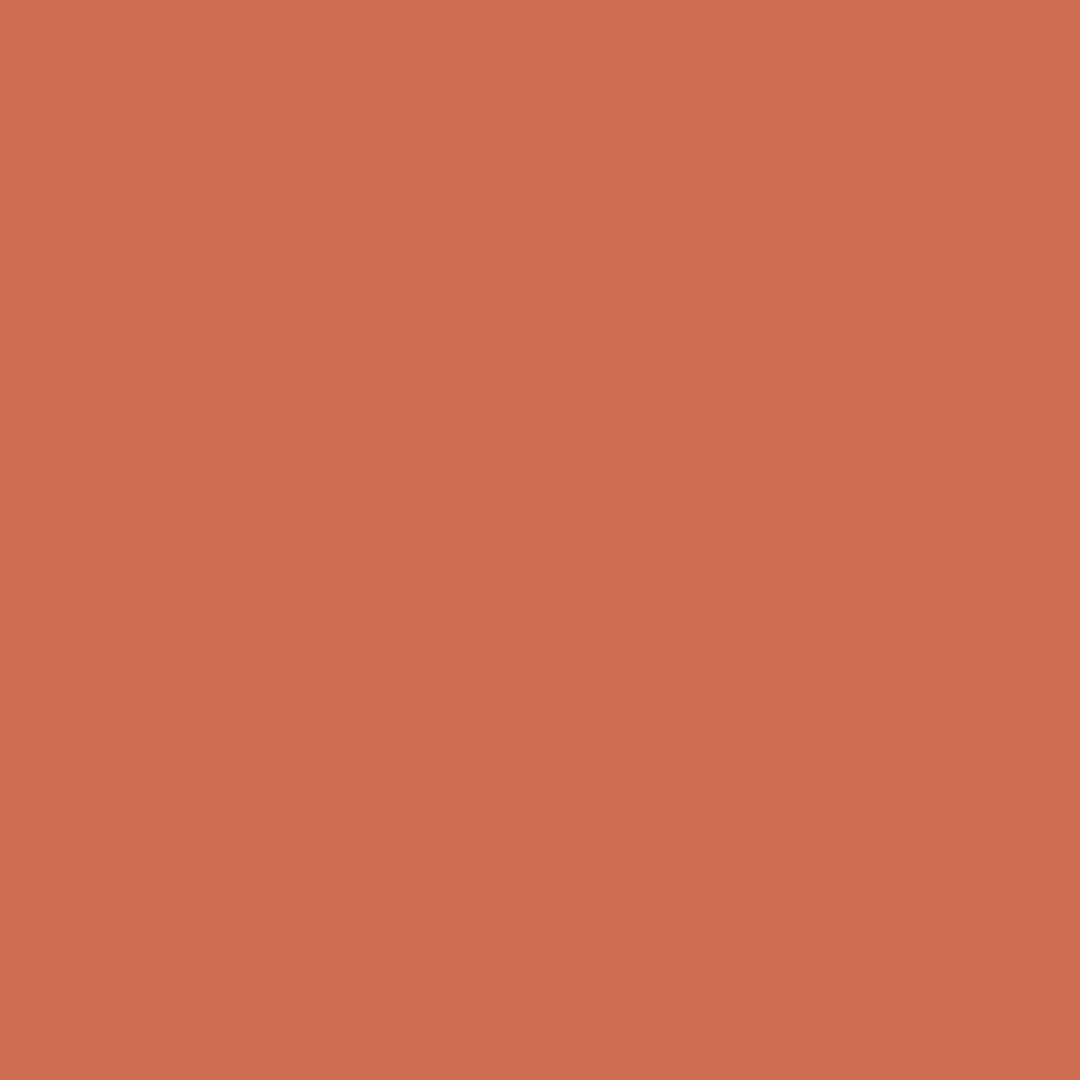 Benjamin Moore Rich Coral 028 paint color swatch