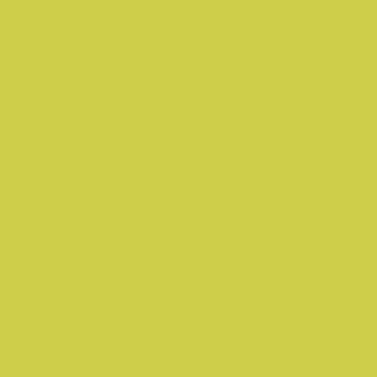 Benjamin Moore Flower Power 398 paint color swatch