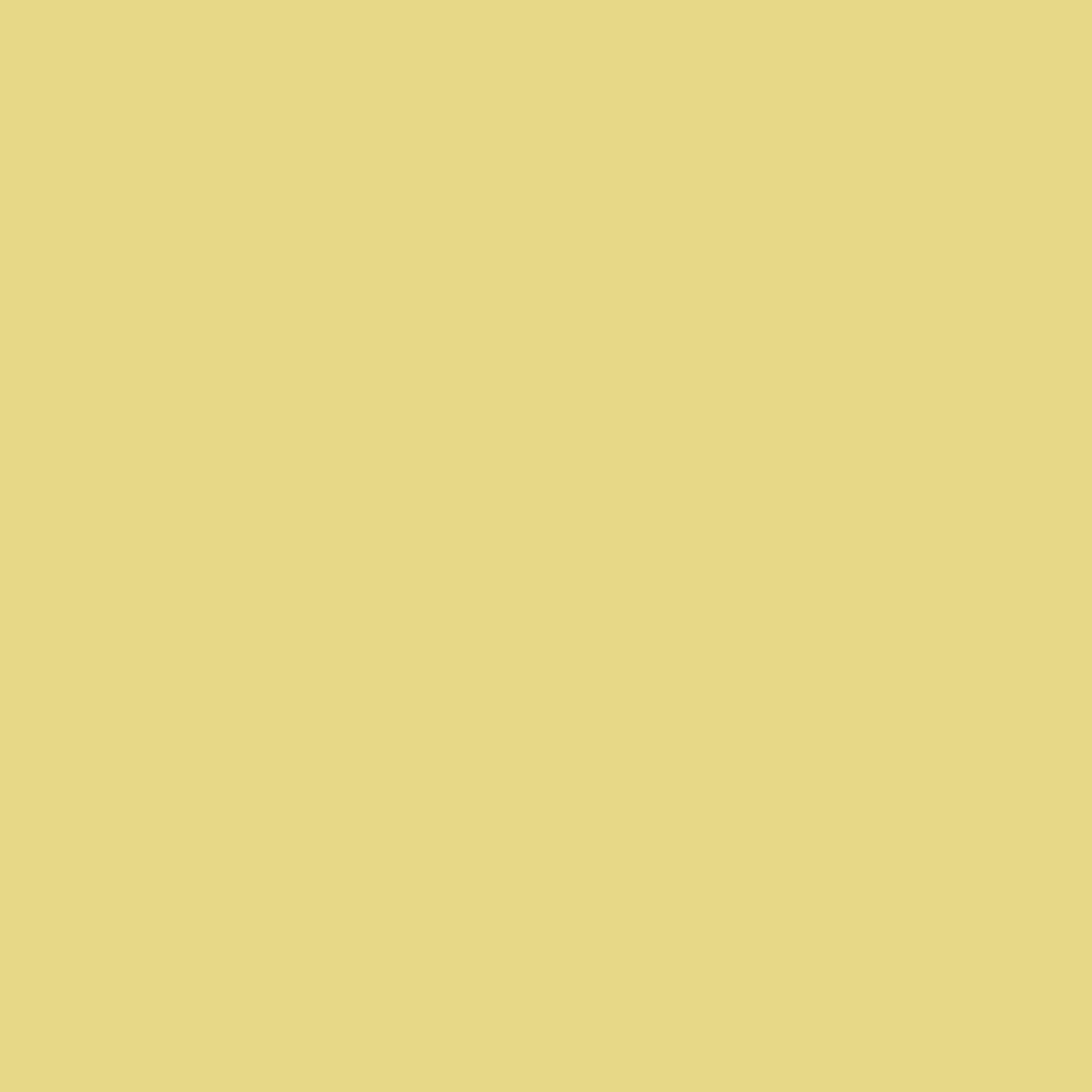 Benjamin Moore Mulholland Yellow 369 paint color swatch