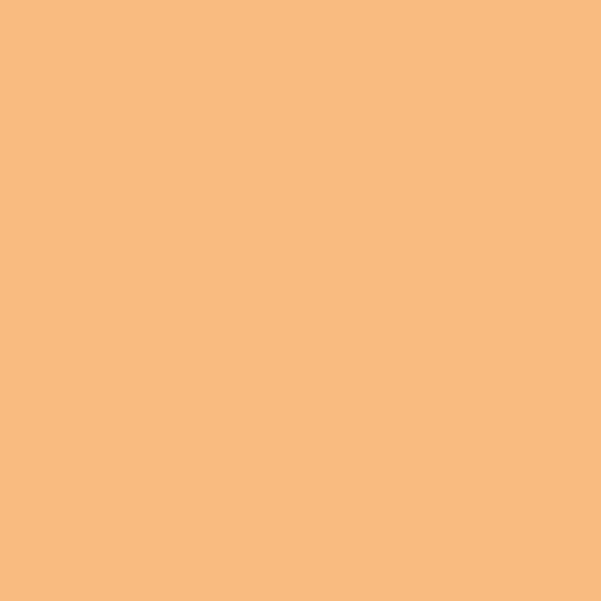 Benjamin Moore Seville Oranges 131 paint color swatch