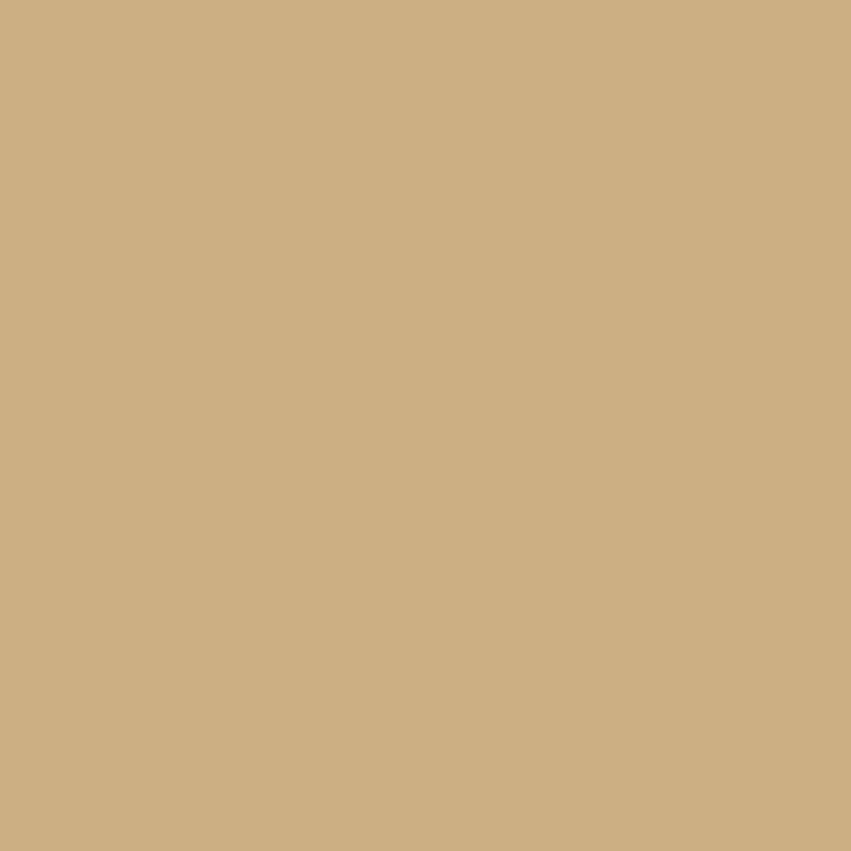 HC-34 Wilmington Tan - Paint Color