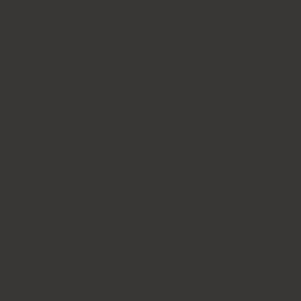 Benjamin Moore Black Beauty 2128-10 paint color swatch
