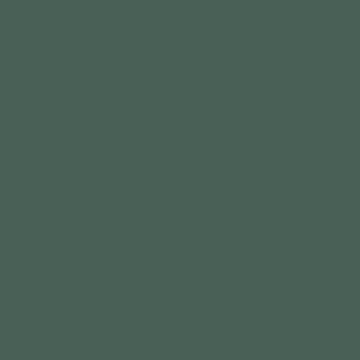 Benjamin Moore Lafayette Green HC-135 paint color swatch