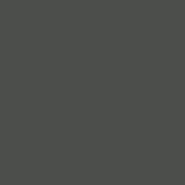 Benjamin Moore Deep River 1582 paint color swatch