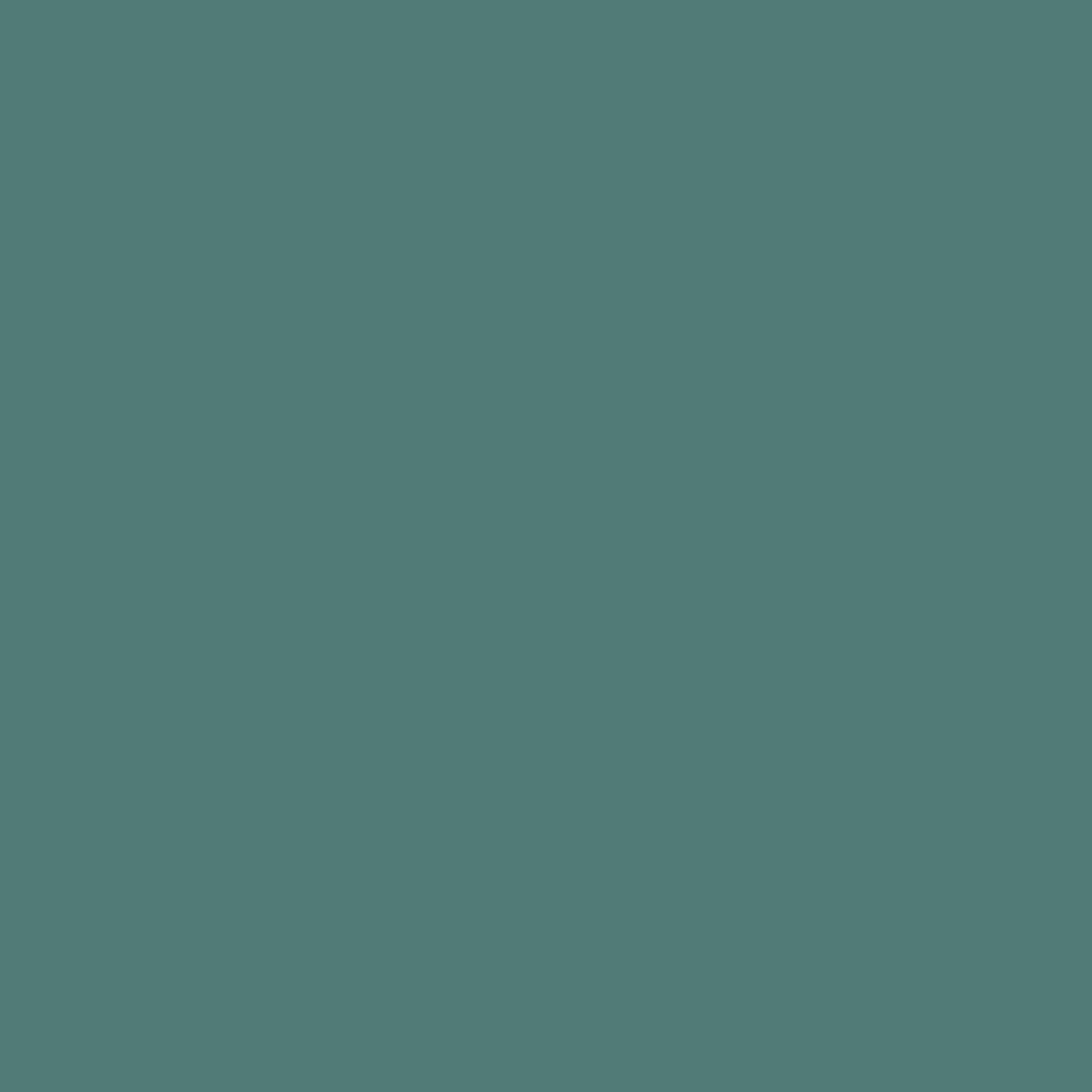 Benjamin Moore Pacific Rim 678 paint color swatch