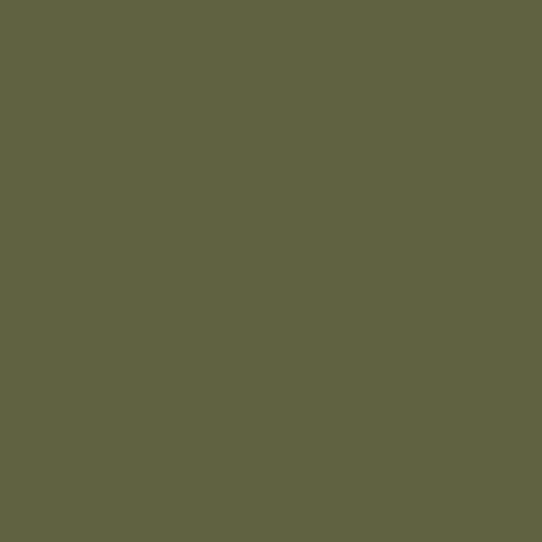 Benjamin Moore Bonsai CC-666 paint color swatch