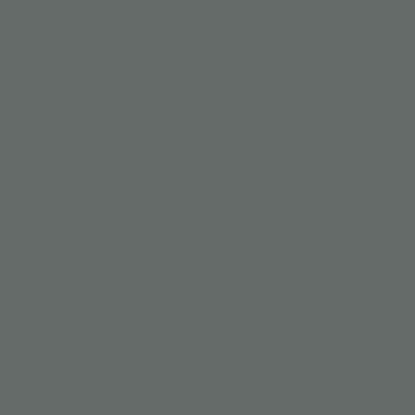 Benjamin Moore Kitty Gray 1589 paint color swatch