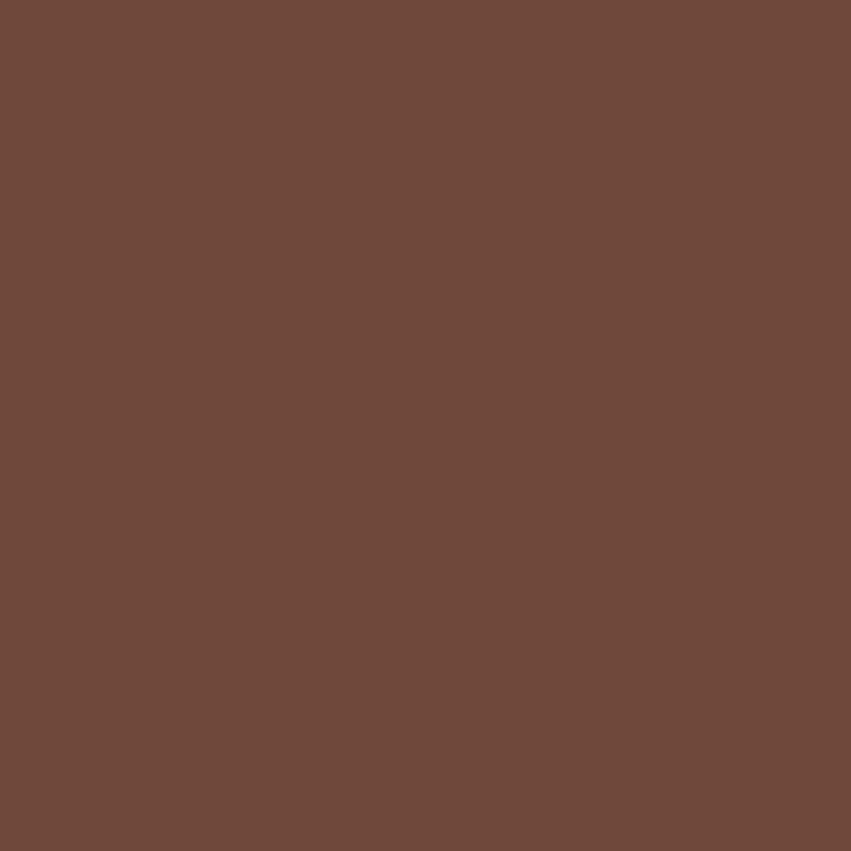 Benjamin Moore Suede Brown 2101-10 paint color swatch