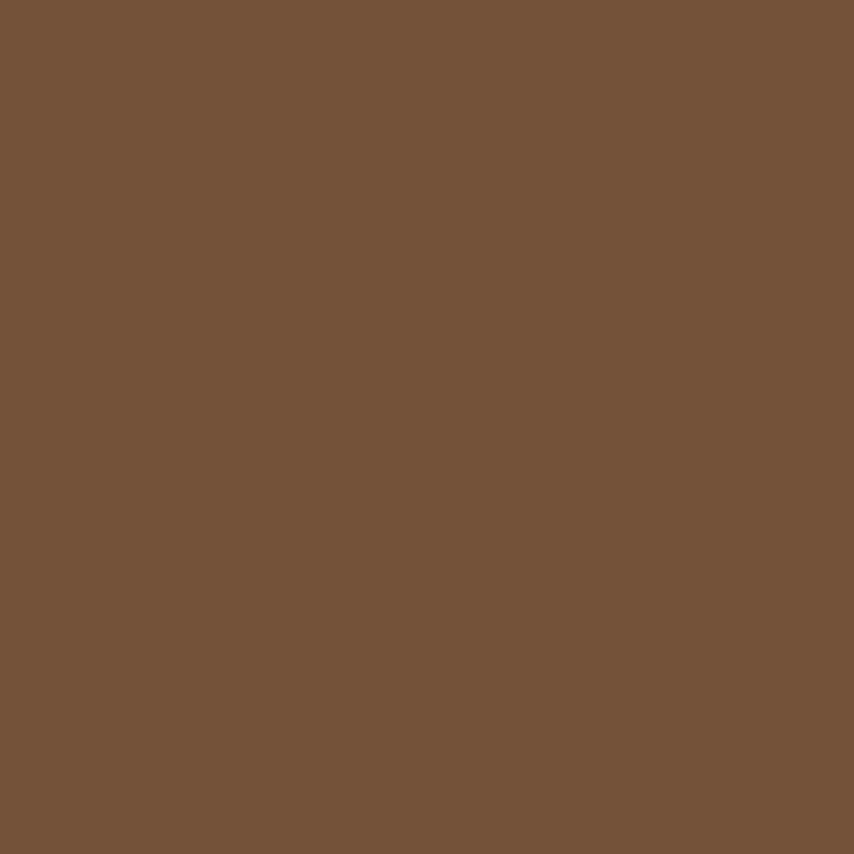 Benjamin Moore Charleston Brown HC-186 paint color swatch