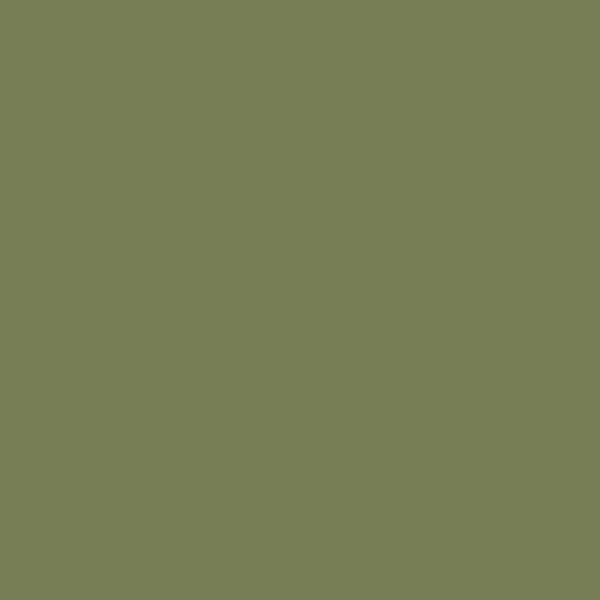 Benjamin Moore Oak Grove 489 paint color swatch