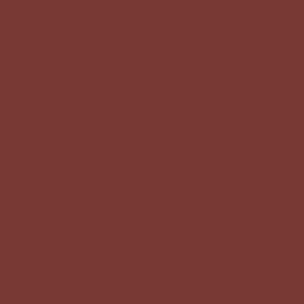 Benjamin Moore Sundried Tomato CC-62 paint color swatch