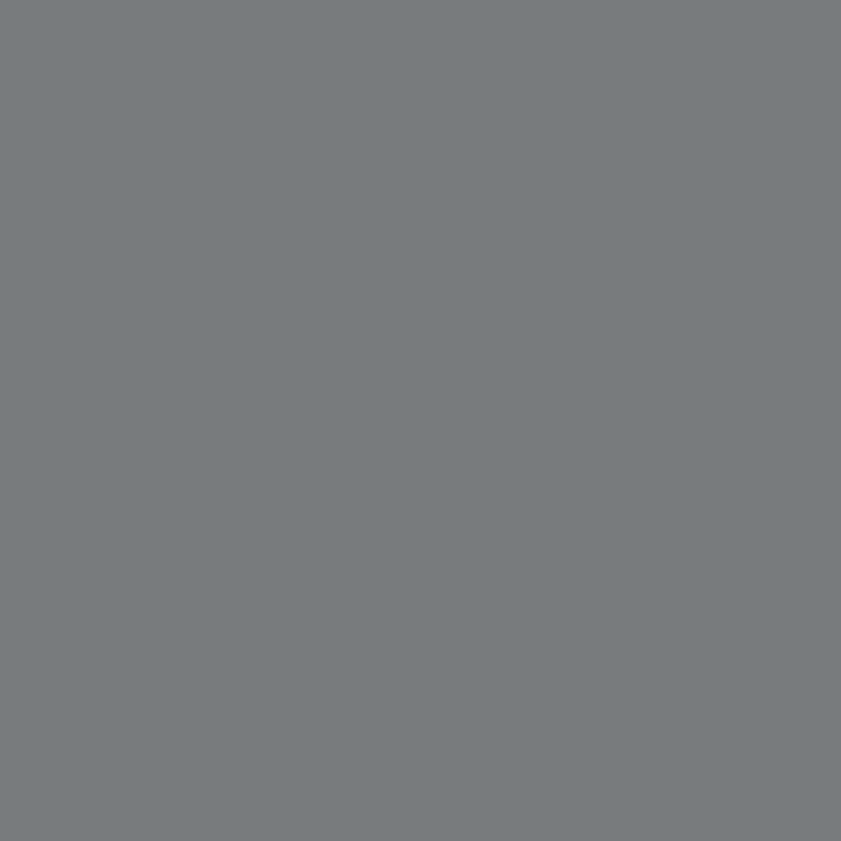 Benjamin Moore Steel Wool 2121-20 paint color swatch