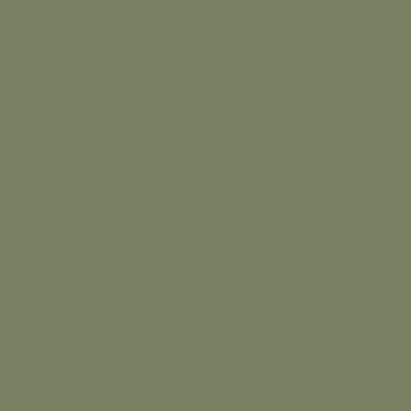 Benjamin Moore Great Barrington Green HC-122 paint color swatch