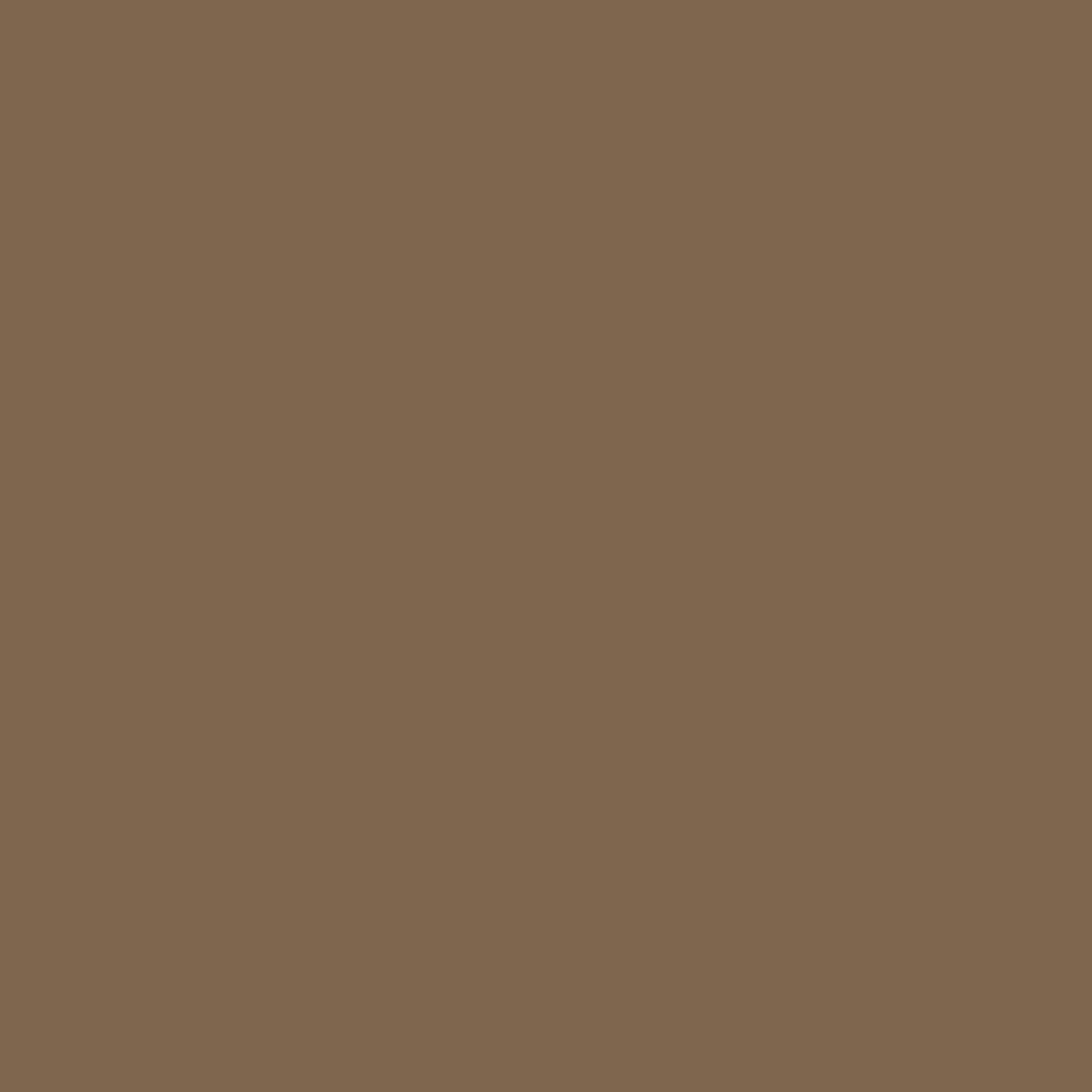 Benjamin Moore Plymouth Brown HC-73 paint color swatch