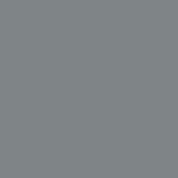 Benjamin Moore Englewood Cliffs 1607 paint color swatch