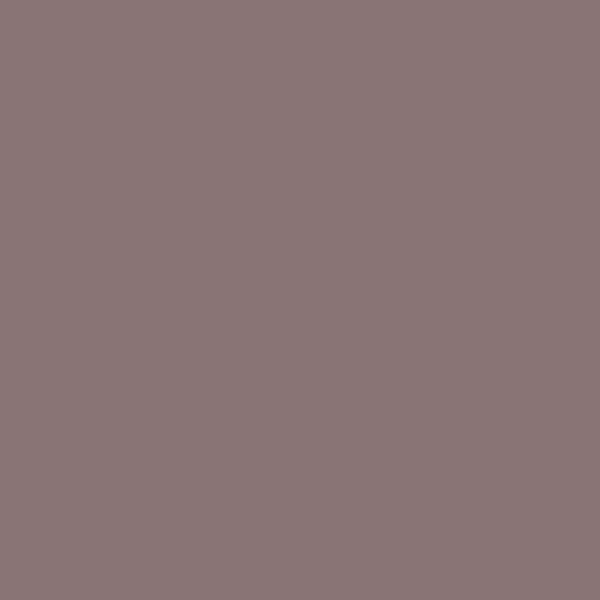 Benjamin Moore Cinnamon Slate 2113-40 paint color swatch