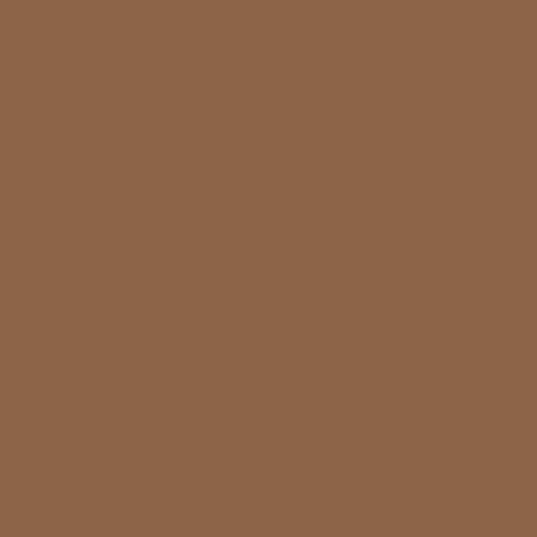 Benjamin Moore Rich Clay Brown 2164-30 paint color swatch