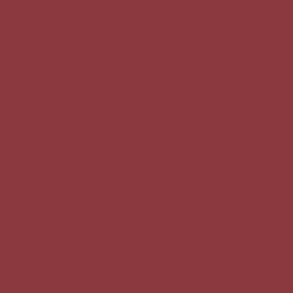 Benjamin Moore Pomegranate AF-295 paint color swatch