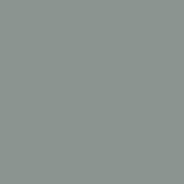 Benjamin Moore Stonybrook 1566 paint color swatch