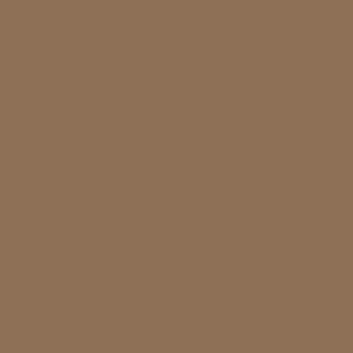 Benjamin Moore Vero Beach Tan 1085 paint color swatch