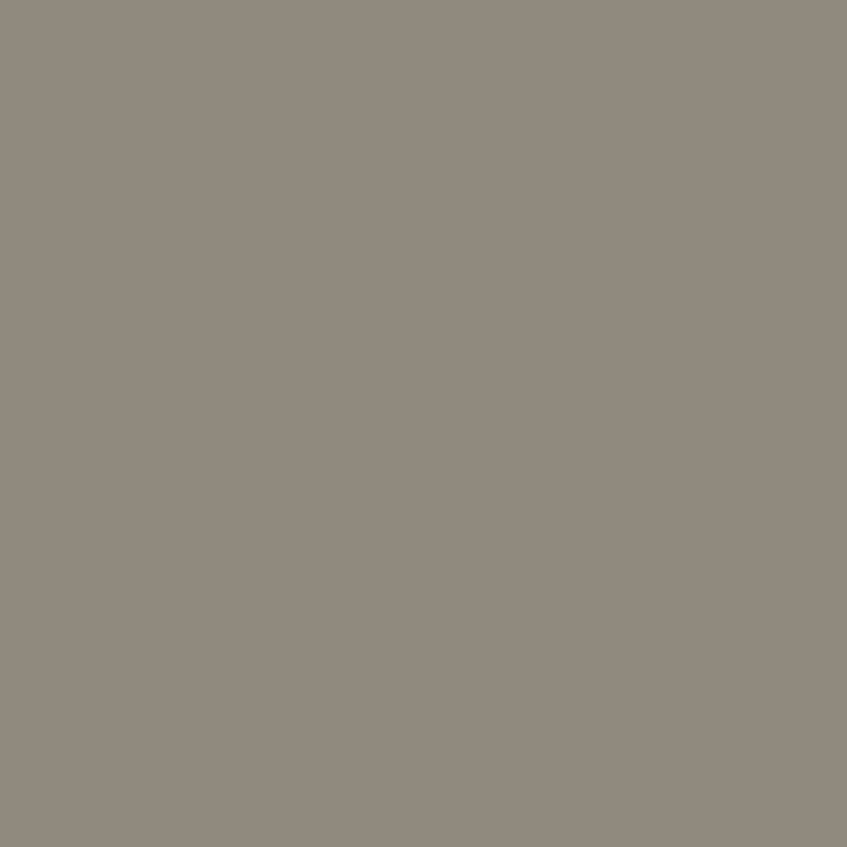 Benjamin Moore Equestrian Gray 1553 paint color swatch