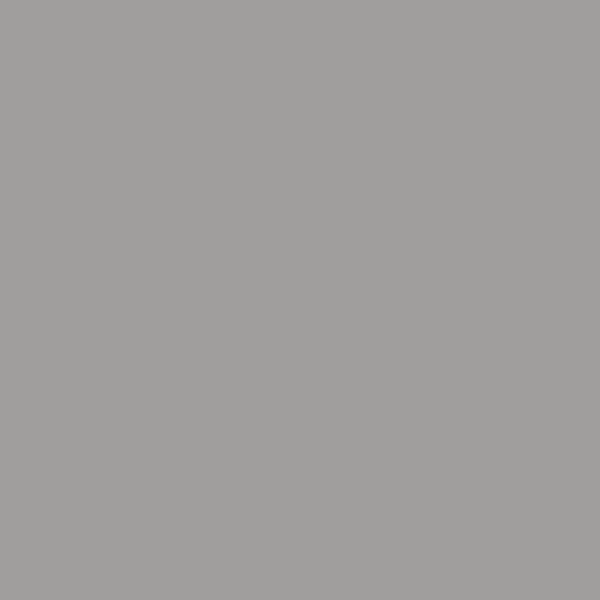 Benjamin Moore Sterling Silver 1461 paint color swatch