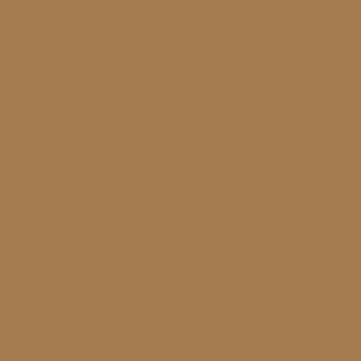 Benjamin Moore Graham Cracker 1113 paint color swatch