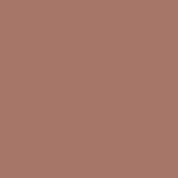 Benjamin Moore Drenched Sienna 1182 paint color swatch