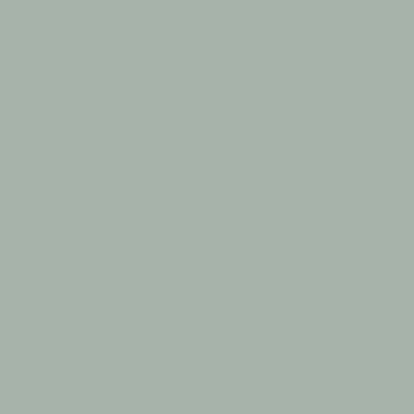 Benjamin Moore Raindance CC-680 paint color swatch