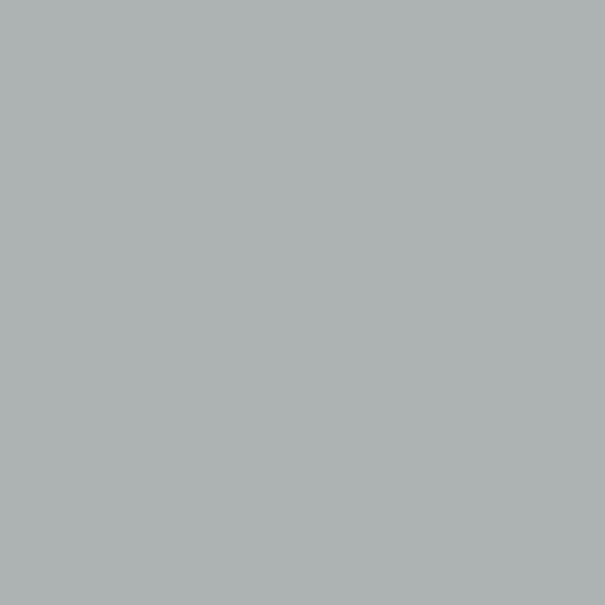 Benjamin Moore Marina Gray 1599 paint color swatch