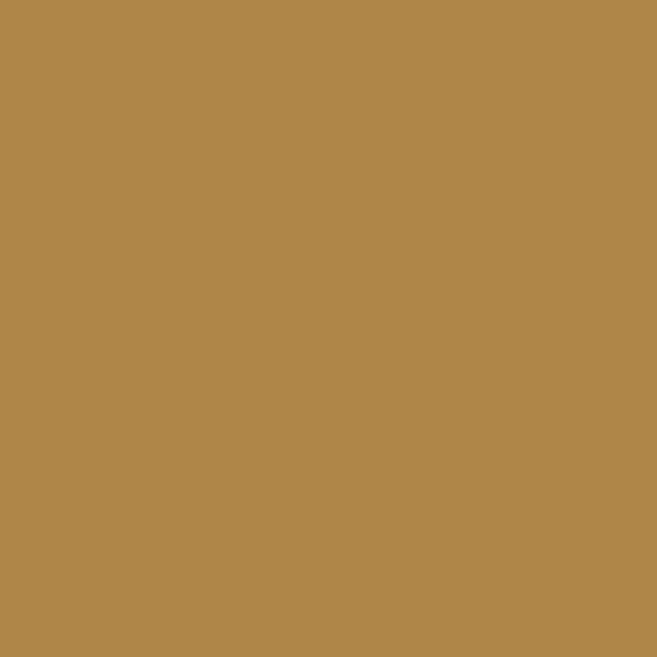 Benjamin Moore Goldenhurst 196 paint color swatch