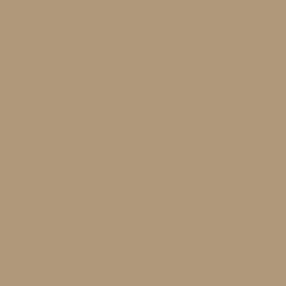 Benjamin Moore Great Plains CC-334 paint color swatch
