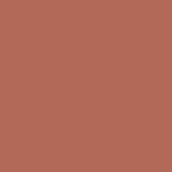 Benjamin Moore Baked Terra Cotta 1202 paint color swatch