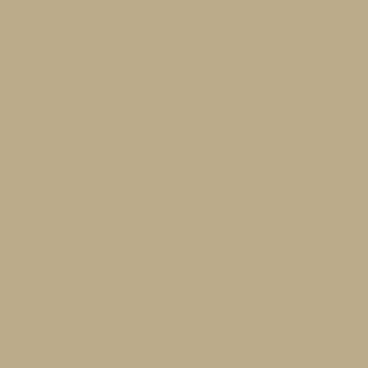 Benjamin Moore Danville Tan HC-91 paint color swatch