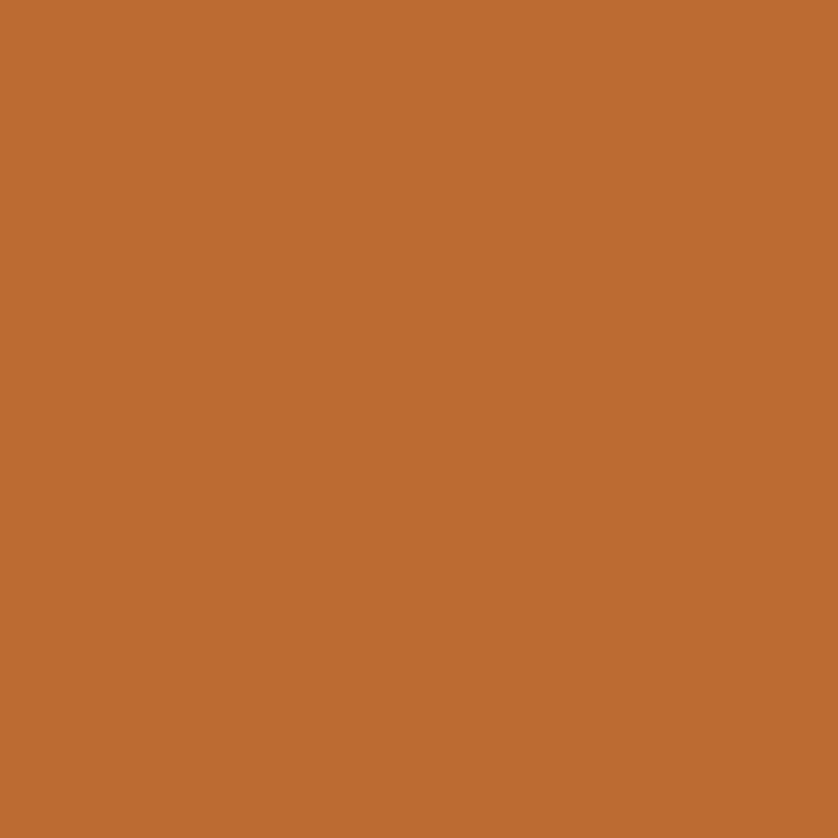 Benjamin Moore Caramel Latte 2166-20 paint color swatch