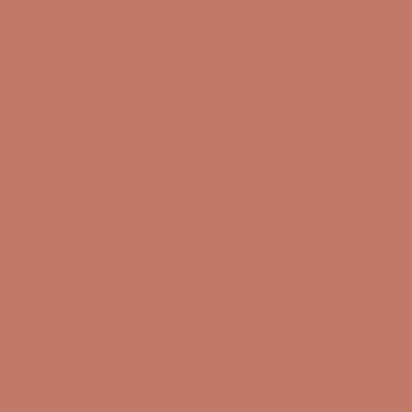 Benjamin Moore Spiced Apple Cider 1201 paint color swatch