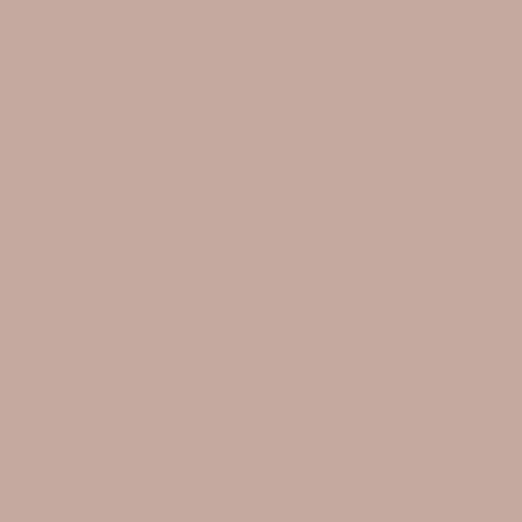 2099-50 Café Mocha - Paint Color